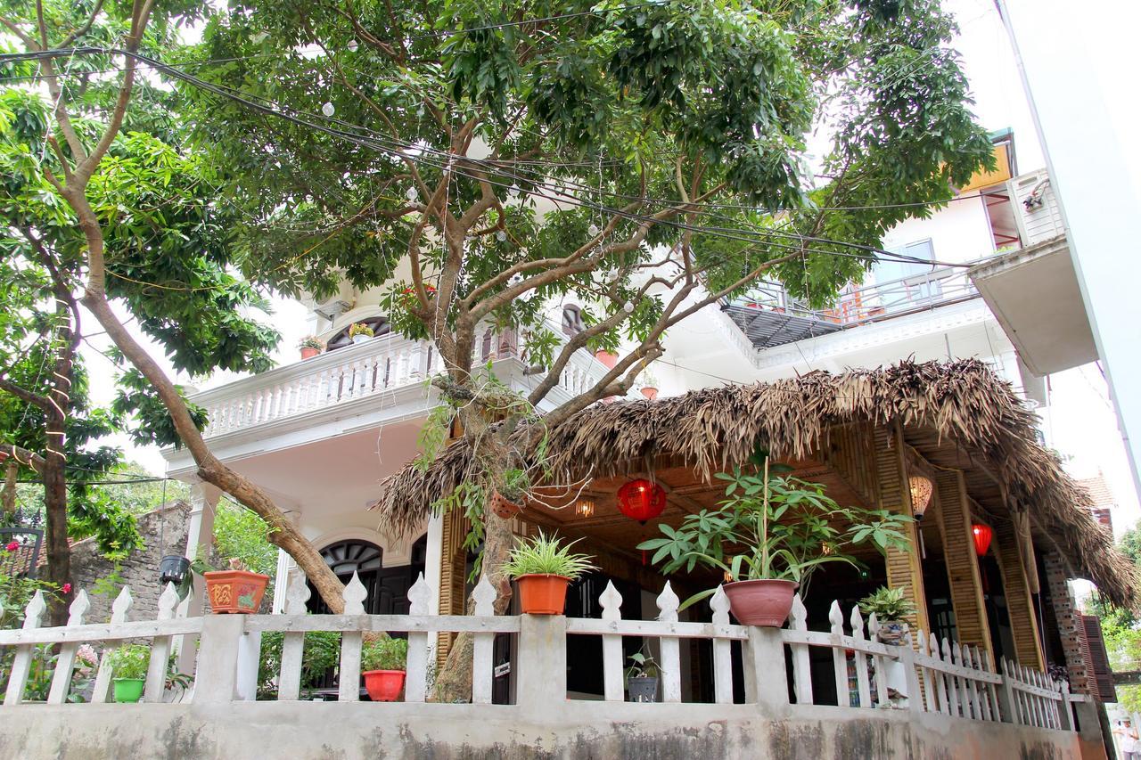 Tam Coc Dream Homestay Ninh Binh Eksteriør billede