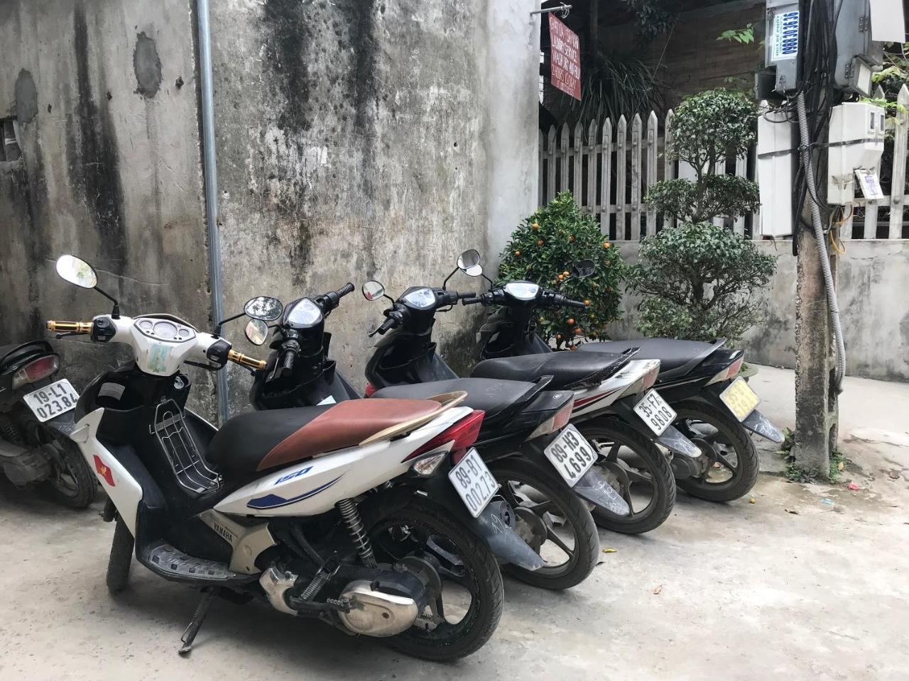 Tam Coc Dream Homestay Ninh Binh Eksteriør billede