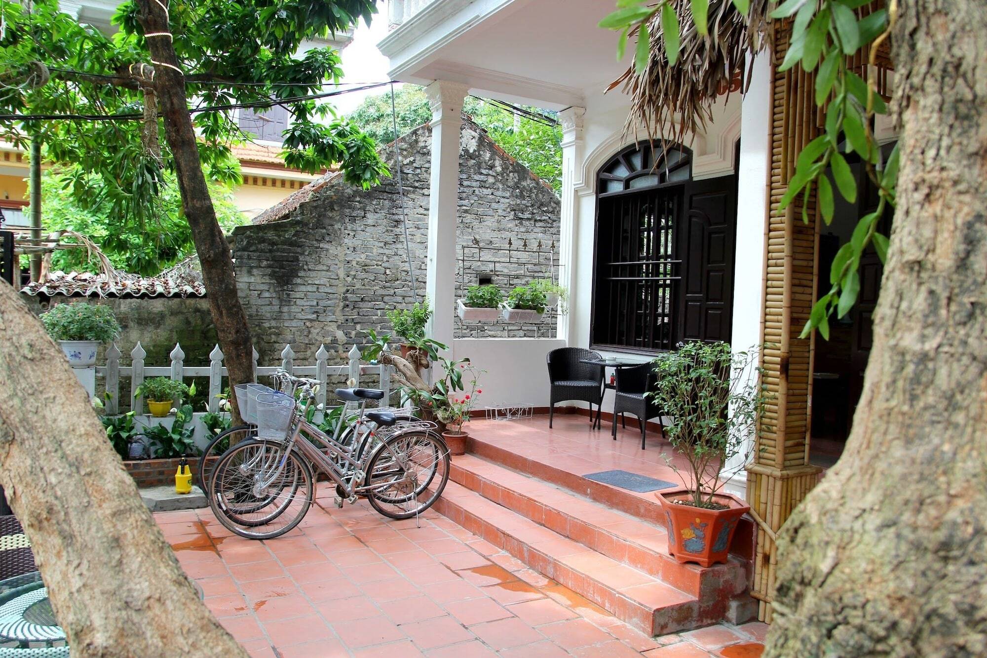 Tam Coc Dream Homestay Ninh Binh Eksteriør billede